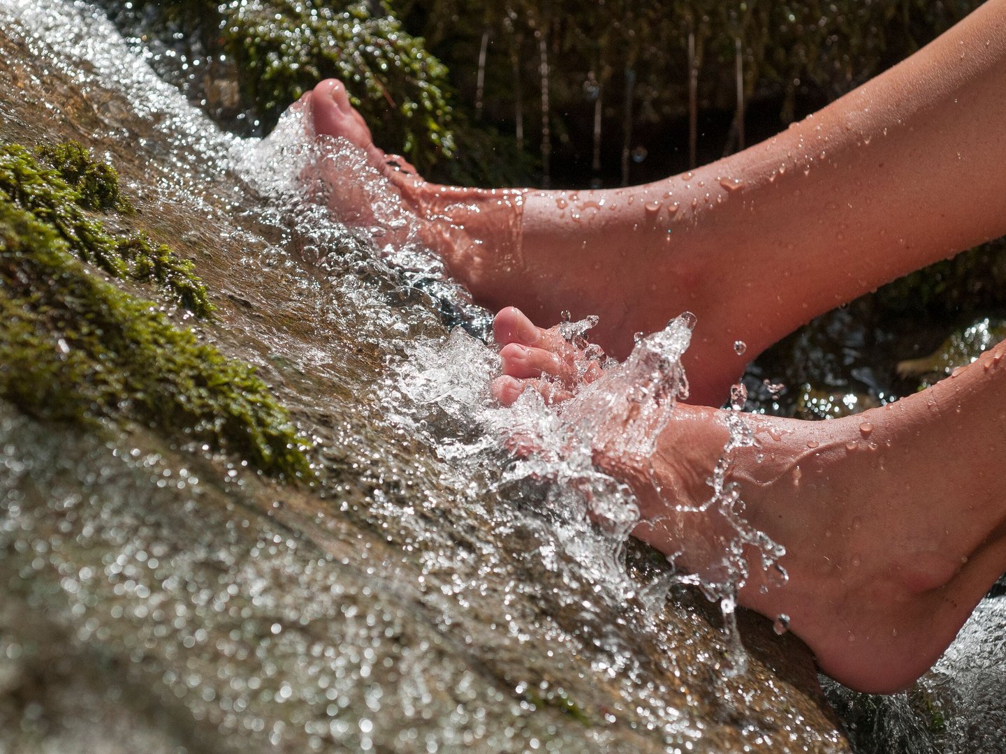 Prinze Gumpe Hinterstein Prinze Gumpe Hinterstein