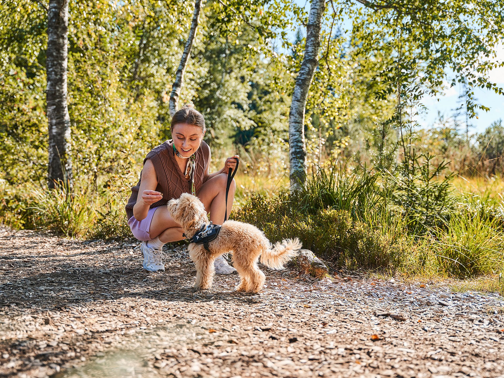 Alpin Chalets Oberjoch | Erlebnisse zwischen Action & Erholung Frau mit kleinem Hund auf einem Waldweg
