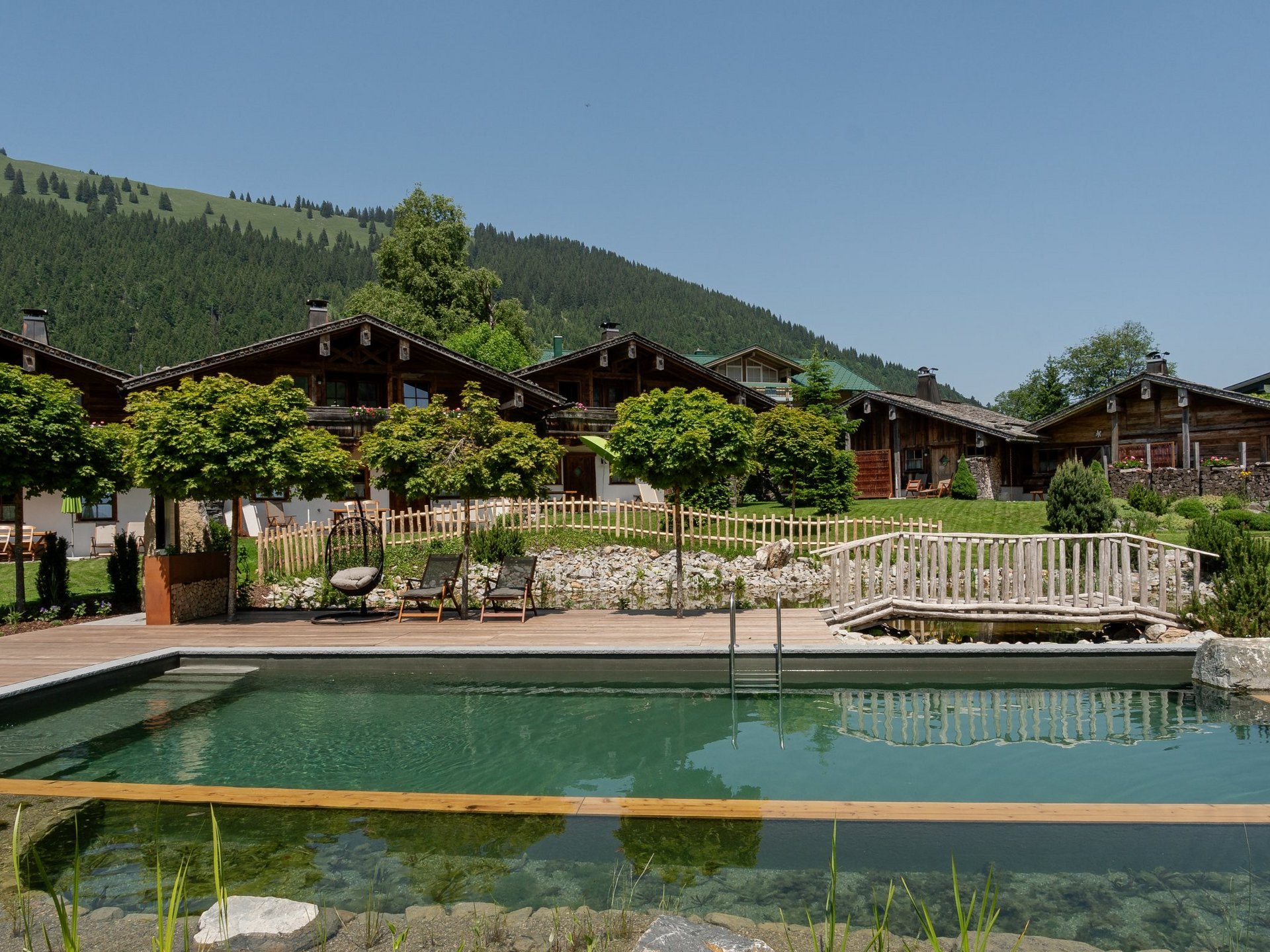 NEU: Naturpool