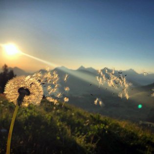 Alpin Chalets Oberjoch | Bergbahnen Oberjoch Alpin Chalets Oberjoch | Bergbahnen Oberjoch