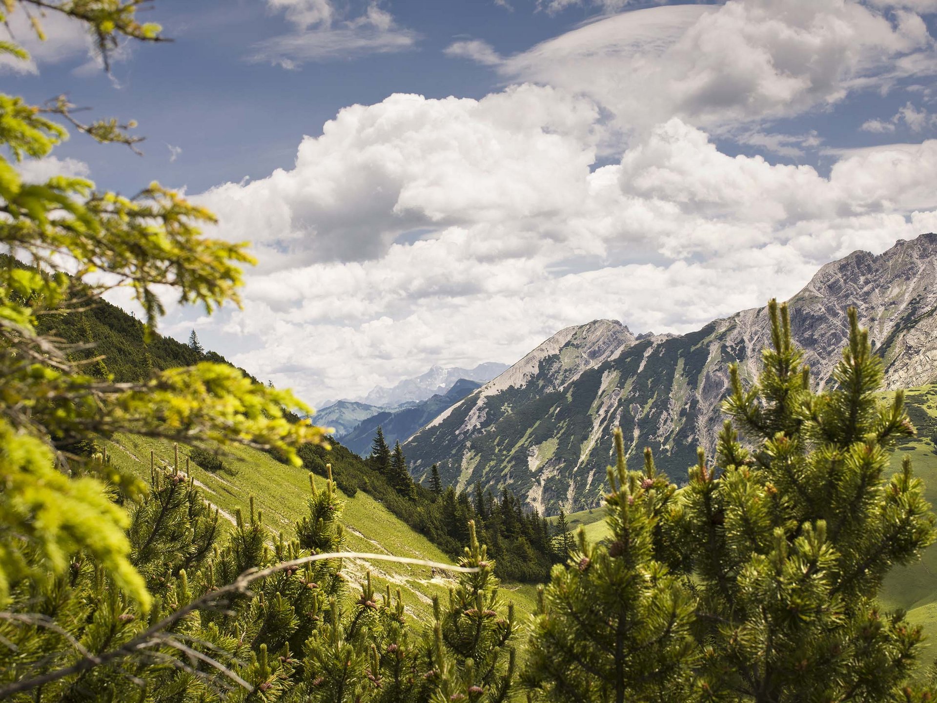 Alpin Chalets Oberjoch | Erlebnisse zwischen Action & Erholung