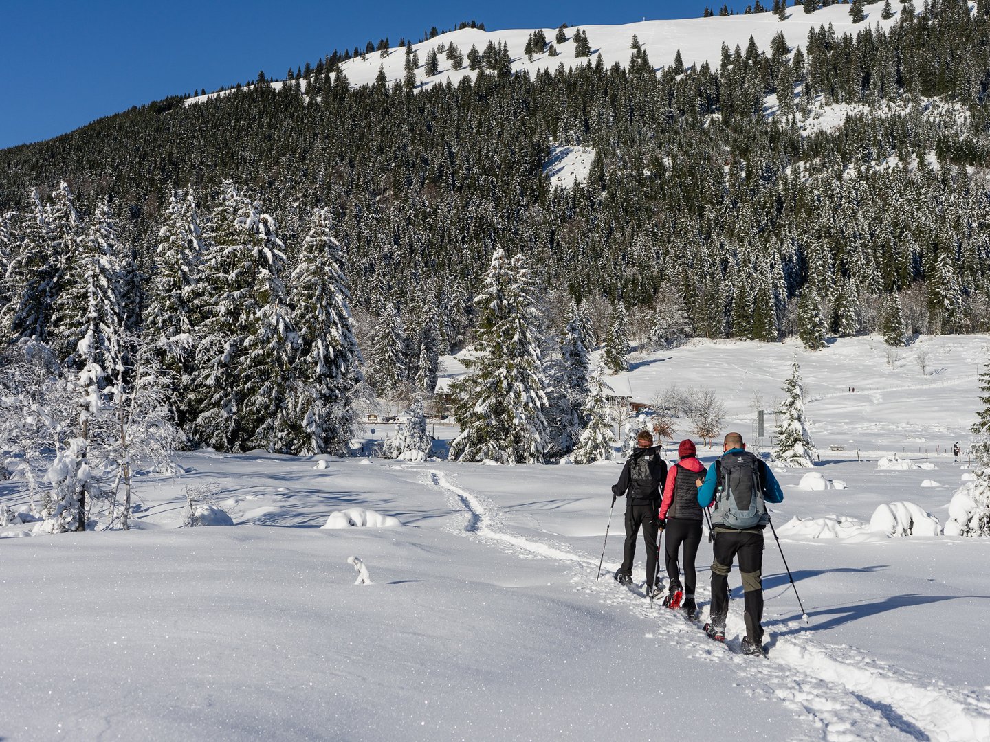 Alpin Chalets Oberjoch | Winter: Chalets an der Piste Alpin Chalets Oberjoch | Winter: Chalets an der Piste